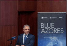 Conservação dos Oceanos | Bolieiro distinguido com o prémio Peter Benchley Ocean Awards