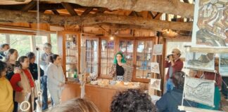 Exposição | Maria Melo inspira-se na paisagem do Faial