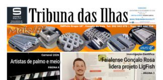 Capa | Edição n.º 1221, 20 de fevereiro de 2026
