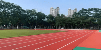 Atletismo | Recordes pessoais e pódios no Triatlo Técnico e no Corta-Mato Regional