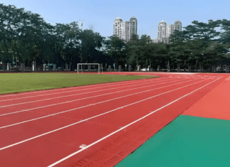 Atletismo | Recordes pessoais e pódios no Triatlo Técnico e no Corta-Mato Regional