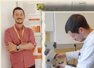 Investigação científica com assinatura faialense | Gonçalo Rosa lidera projeto inovador na área dos produtos naturais