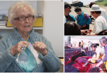 Profissões: Helen Rost Martins é Bióloga Marinha há 50 anos | “É bom quando os jovens precisam da minha opinião e das minhas memórias”