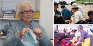 Profissões: Helen Rost Martins é Bióloga Marinha há 50 anos | “É bom quando os jovens precisam da minha opinião e das minhas memórias”
