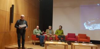 Orla Costeira de Porto Pim | “Forma de intervenção prevista é insatisfatória, não resolve o problema e prejudica a baía a vários níveis”