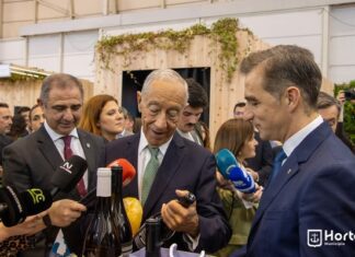 BTL 2026 | Açores apresentam-se com um pavilhão renovado