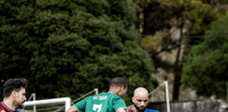 Taça da Associação de Futebol da Horta | Madalena triunfa sobre o Fayal