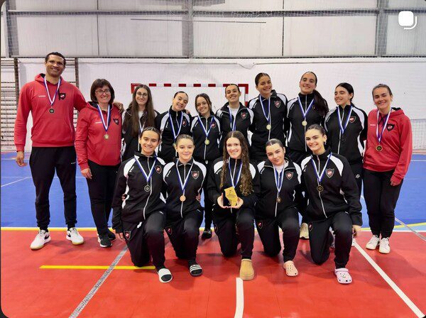 voleibol