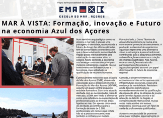 Página da Responsabilidade da Escola do Mar dos Açores