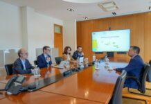 Dia Mundial da Energia: “Transição energética é uma oportunidade para fortalecer a Autonomia dos Açores”, afirma Luís Garcia
