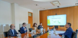 Dia Mundial da Energia: “Transição energética é uma oportunidade para fortalecer a Autonomia dos Açores”, afirma Luís Garcia