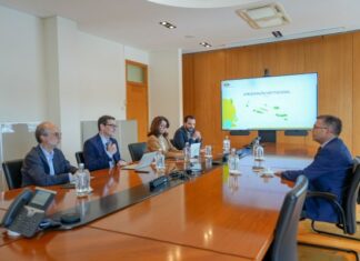 Dia Mundial da Energia: “Transição energética é uma oportunidade para fortalecer a Autonomia dos Açores”, afirma Luís Garcia