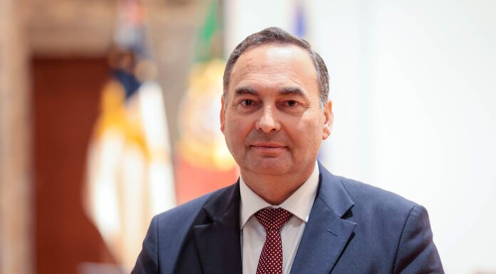 Governo dos Açores apela à submissão de candidaturas no setor agrícola e garante pagamento integral de apoios sem rateios