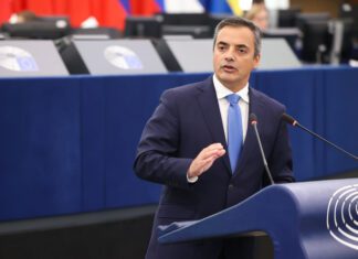 Franqueira Rodrigues defende ação urgente da UE para proteger agricultores e travar crise alimentar global