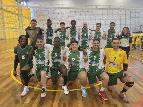 voleibol