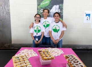 Academia Jovem de Ideias Inovadoras