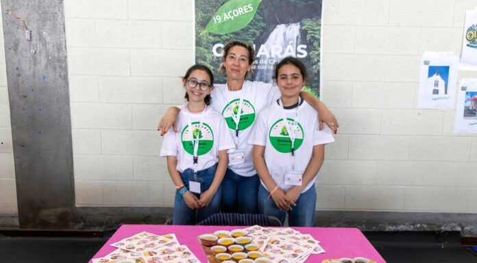 Academia Jovem de Ideias Inovadoras