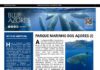 Página da Responsabilidade da Blue Azores