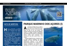 Página da Responsabilidade da Blue Azores