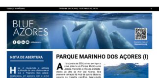 Página da Responsabilidade da Blue Azores