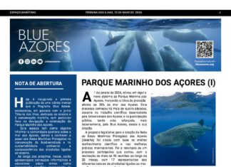 Página da Responsabilidade da Blue Azores