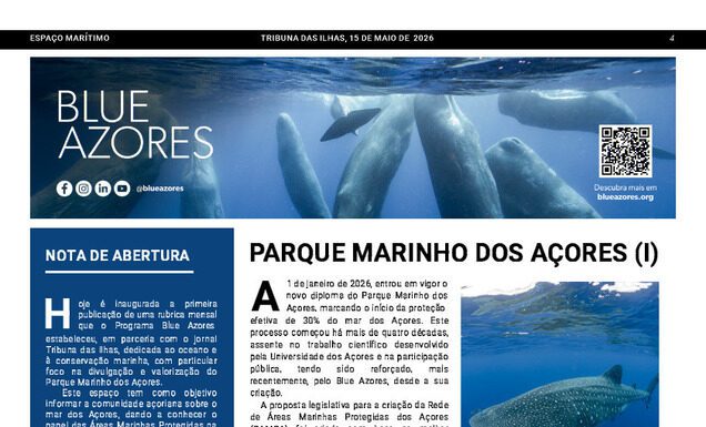 Página da Responsabilidade da Blue Azores