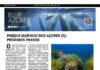 Página da Responsabilidade da Blue Azores