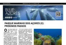 Página da Responsabilidade da Blue Azores