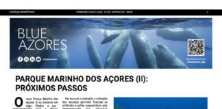 Página da Responsabilidade da Blue Azores