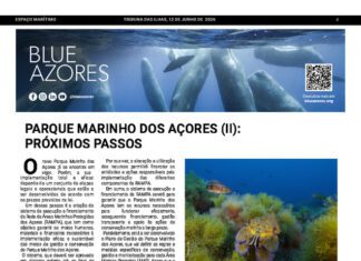 Página da Responsabilidade da Blue Azores