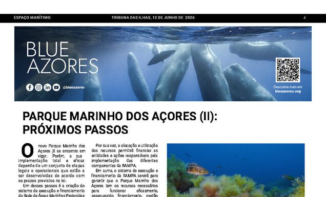 Página da Responsabilidade da Blue Azores