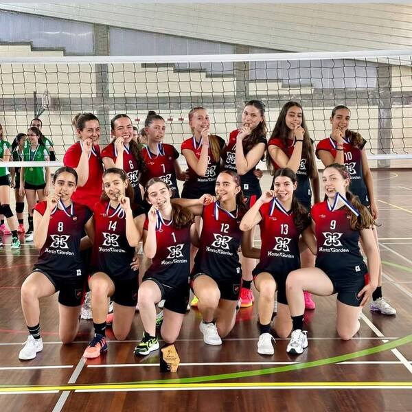 voleibol