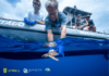 Revista científica Scientific Reports | Investigador do OKEANOS participa em estudo sobre os “anos perdidos” das tartarugas marinhas