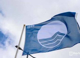 Época Balnear 2026 | Faial soma cinco distinções de Qualidade de Ouro e três Bandeiras Azuis