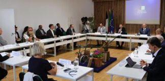 Governo dos Açores defende agricultura das Regiões Ultraperiféricas junto de eurodeputados