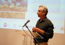 Ambiente | Erradicação da alga invasora “não é uma hipótese realista”
