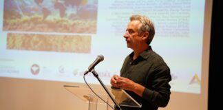 Ambiente | Erradicação da alga invasora “não é uma hipótese realista”
