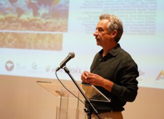 Ambiente | Erradicação da alga invasora “não é uma hipótese realista”