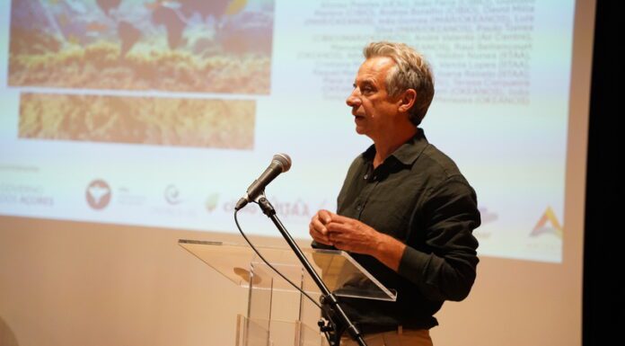 Ambiente | Erradicação da alga invasora “não é uma hipótese realista”