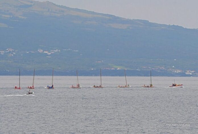 Botes baleeiros