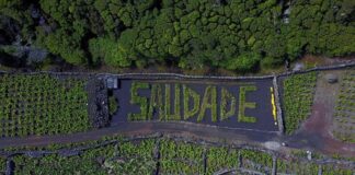 MiratecArts Galeria Costa recebe placa parceira do Geoparque Açores