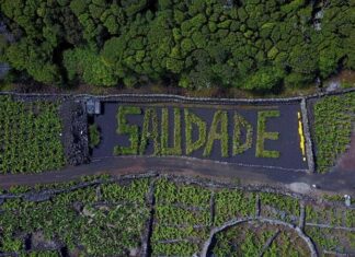 MiratecArts Galeria Costa recebe placa parceira do Geoparque Açores