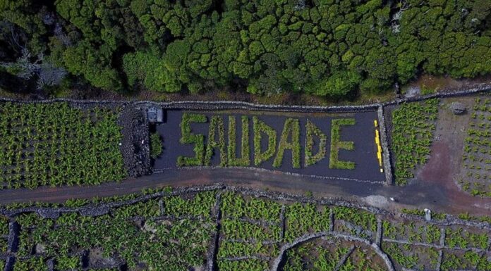 MiratecArts Galeria Costa recebe placa parceira do Geoparque Açores