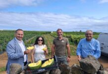 Governo Regional destaca investimento privado apoiado pelo PRR como motor da modernização da agroindústria açoriana