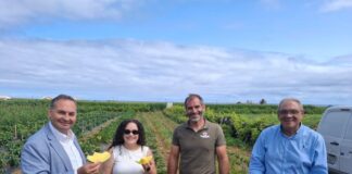 Governo Regional destaca investimento privado apoiado pelo PRR como motor da modernização da agroindústria açoriana