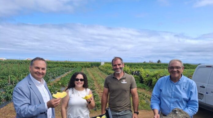 Governo Regional destaca investimento privado apoiado pelo PRR como motor da modernização da agroindústria açoriana