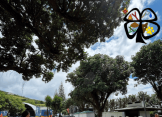 “Agrupamento 1187 vive o Acagrup 2026 no arquipélago dos Açores