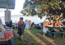Festival da Paz Cavalo de Fogo | Iniciativa angariou fundos e promoveu bem-estar animal