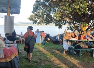 Festival da Paz Cavalo de Fogo | Iniciativa angariou fundos e promoveu bem-estar animal
