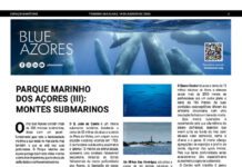Página da Responsabilidade da Blue Azores